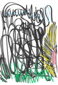 'Girasole' - 2023